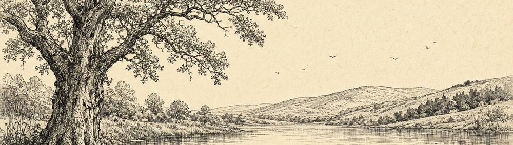 Ink drawing of a tree beside a lake